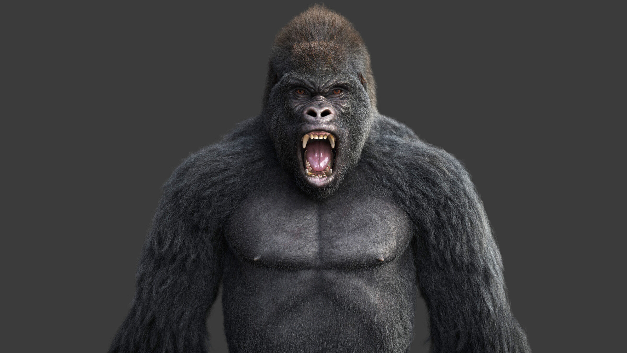 Gorilla RIG XGEN CORE 3D model_9