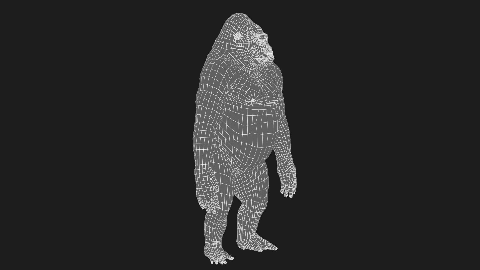 Gorilla RIG XGEN CORE 3D model_16