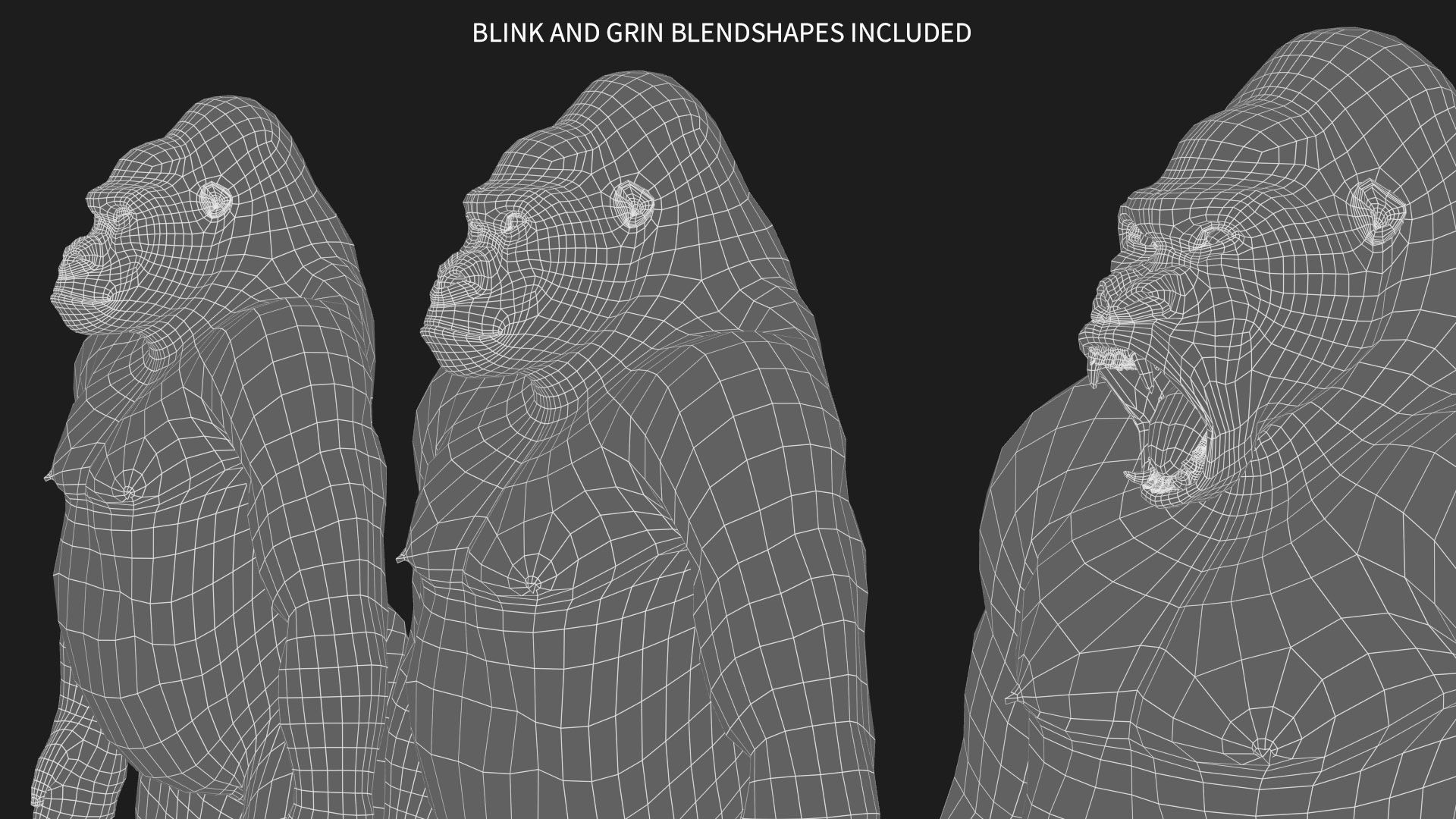 Gorilla RIG XGEN CORE 3D model_18