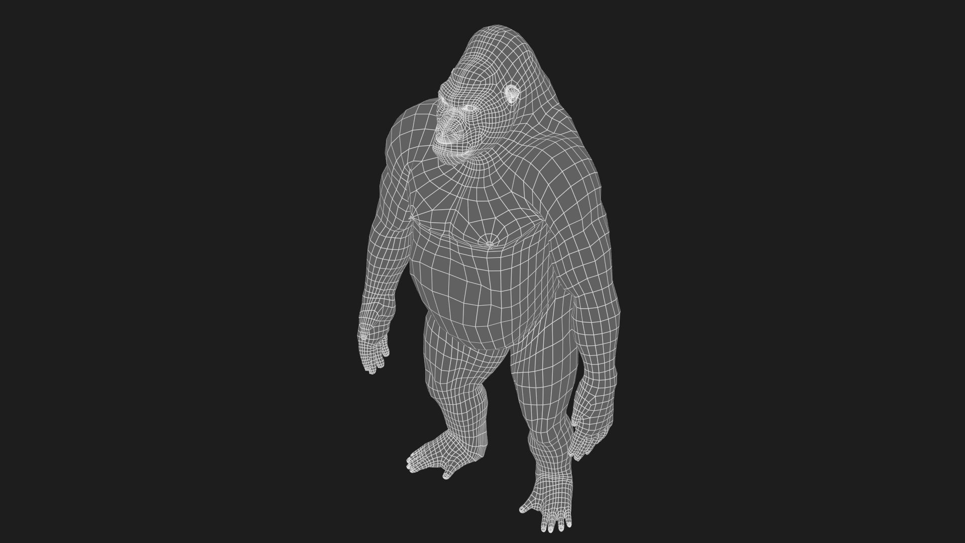 Gorilla RIG XGEN CORE 3D model_17