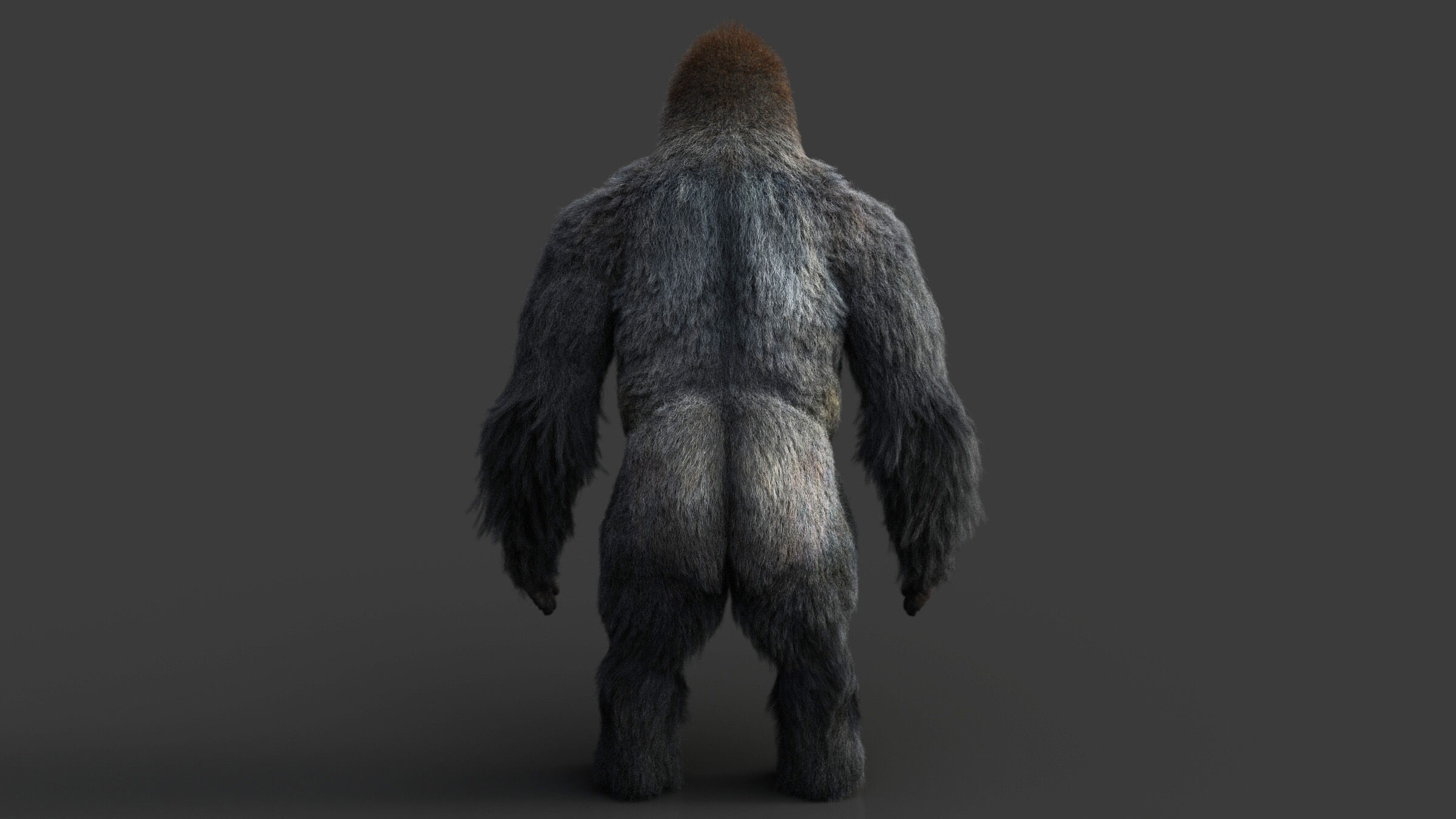 Gorilla RIG XGEN CORE 3D model_10