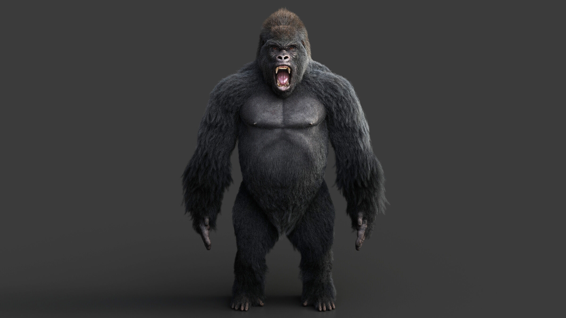 Gorilla RIG XGEN CORE 3D model_5