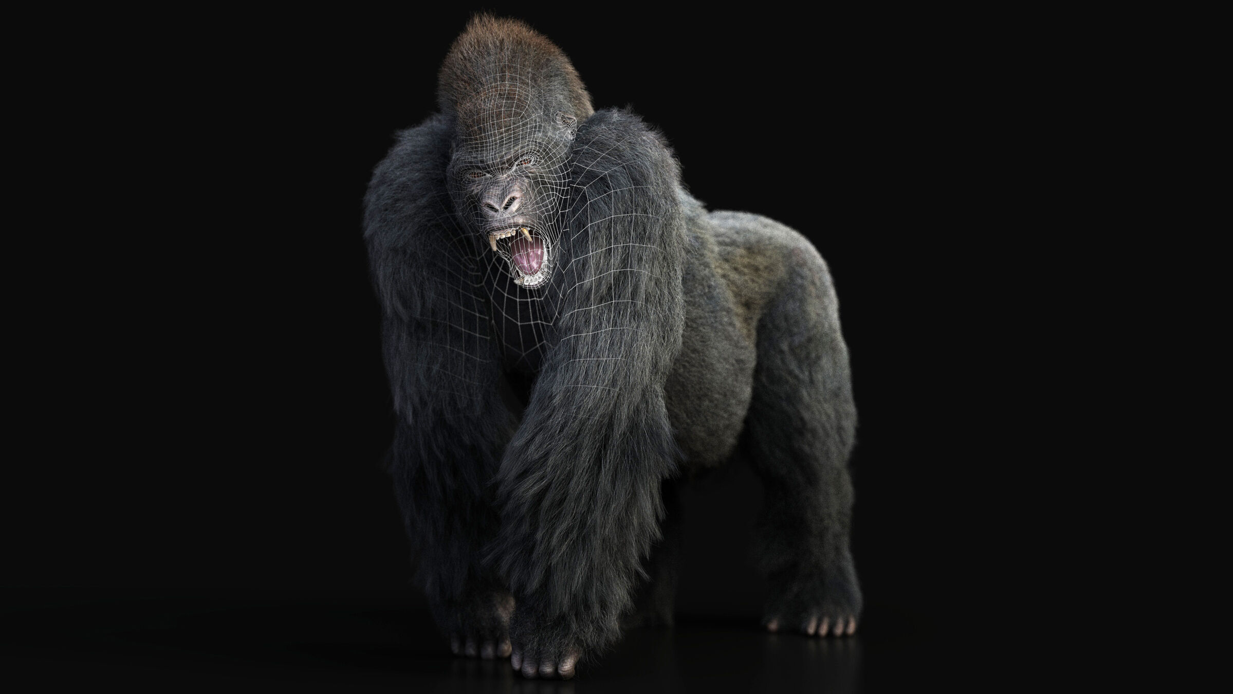 Gorilla RIG XGEN CORE 3D model_2