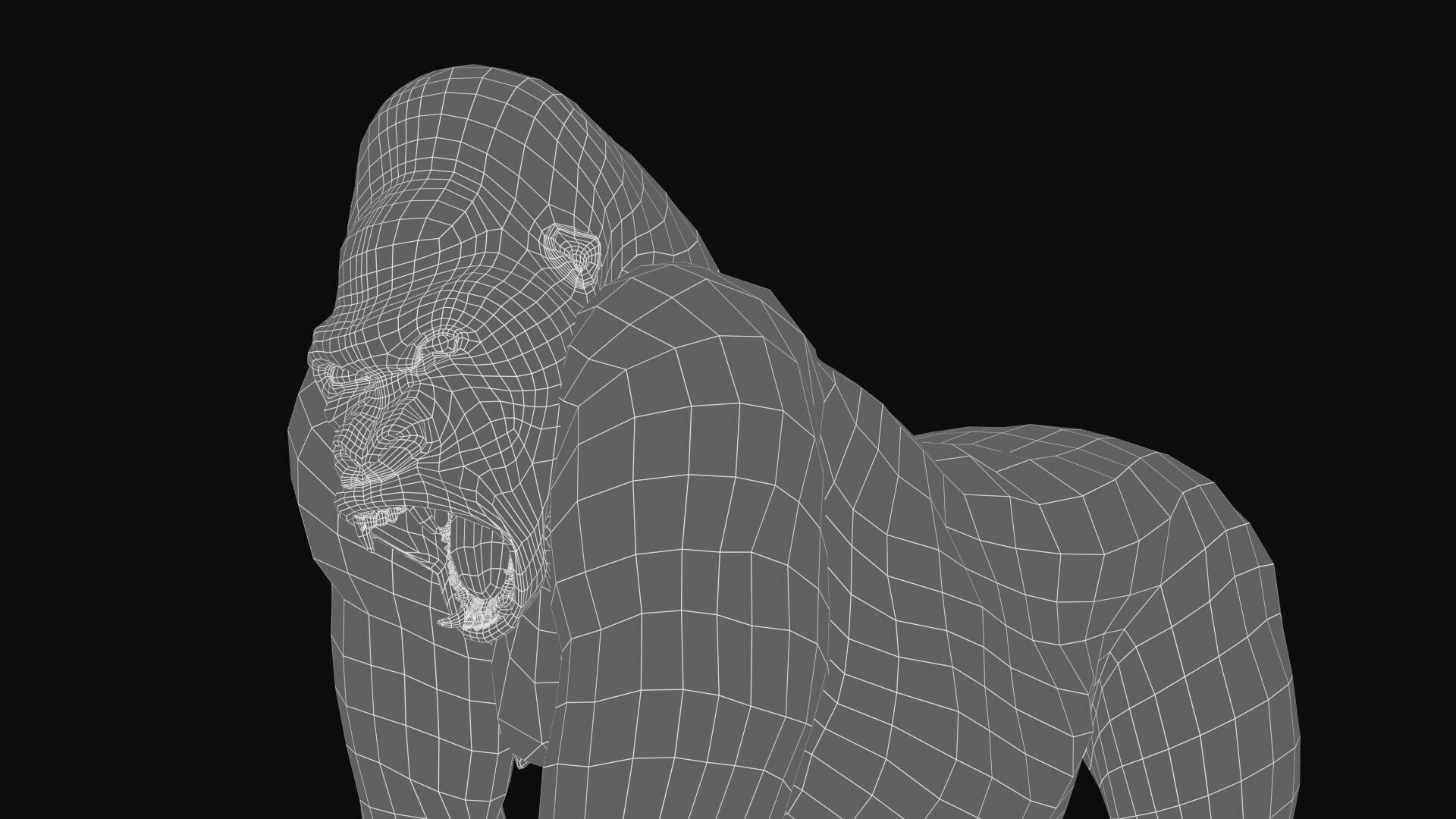 Gorilla RIG XGEN CORE 3D model_14