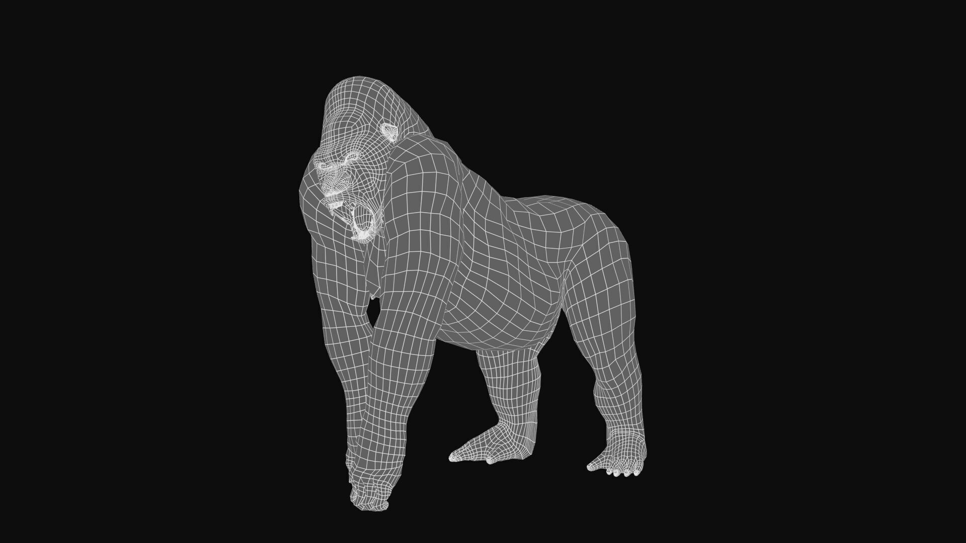 Gorilla RIG XGEN CORE 3D model_13