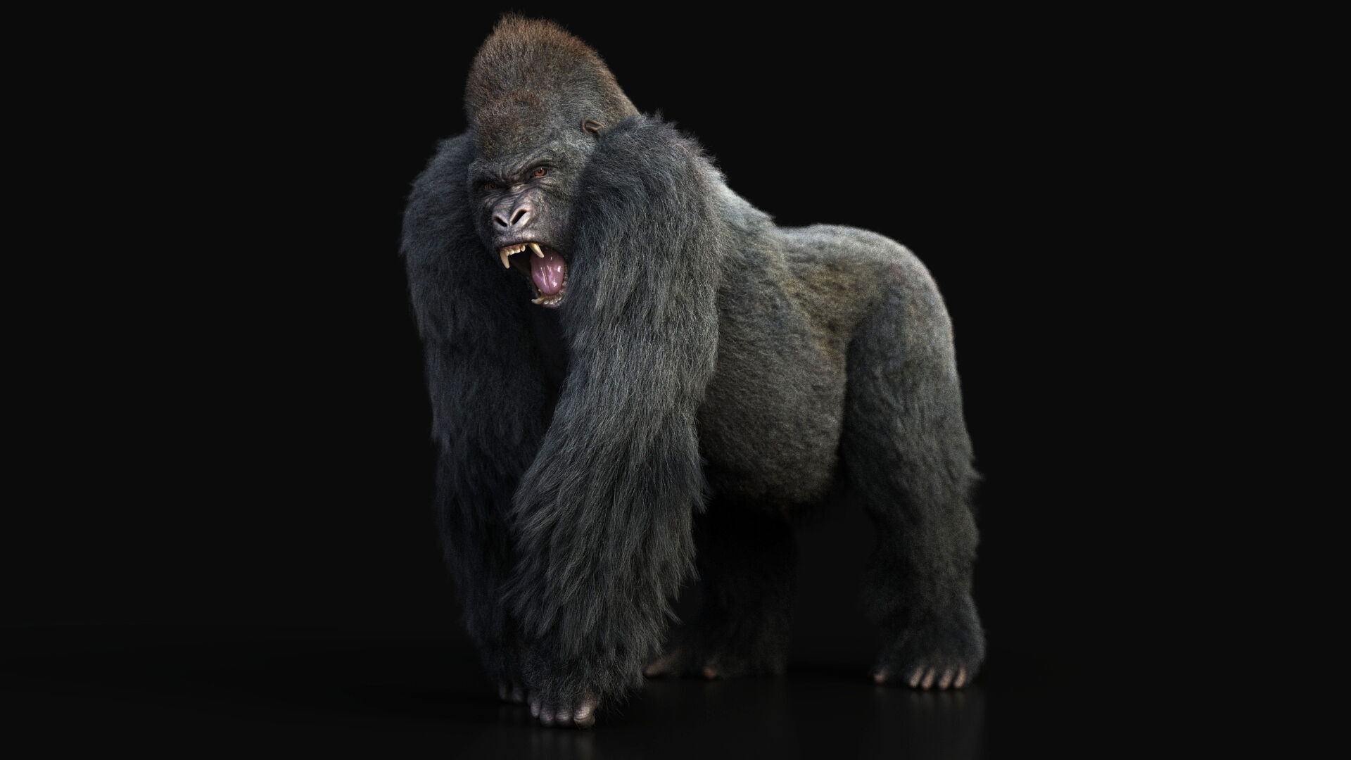 Gorilla RIG XGEN CORE 3D model_3