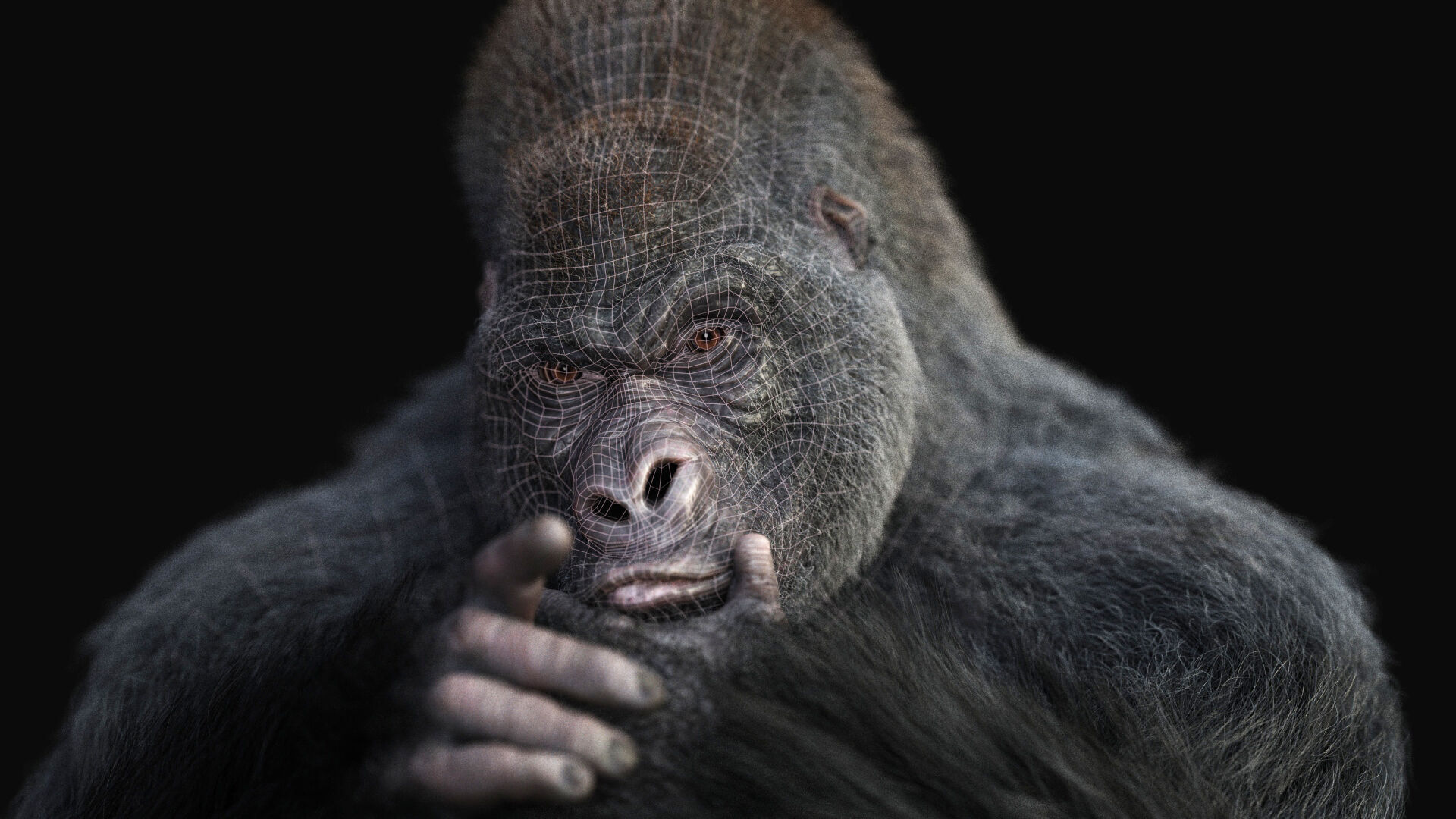 Gorilla RIG XGEN CORE 3D model_7