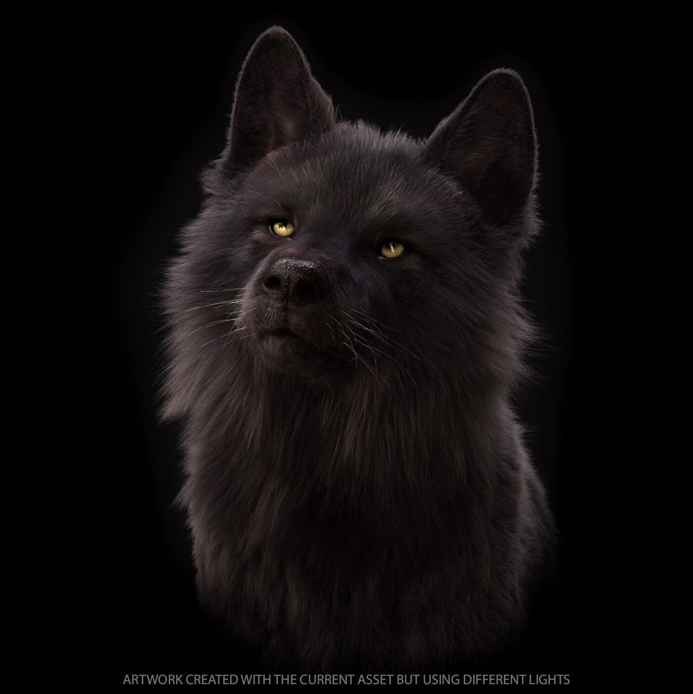 Black Wolf RIGGED XGEN igs 3D model_11