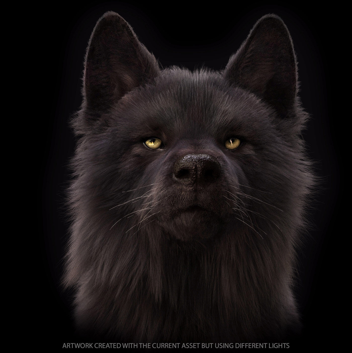 Black Wolf RIGGED XGEN igs 3D model_15