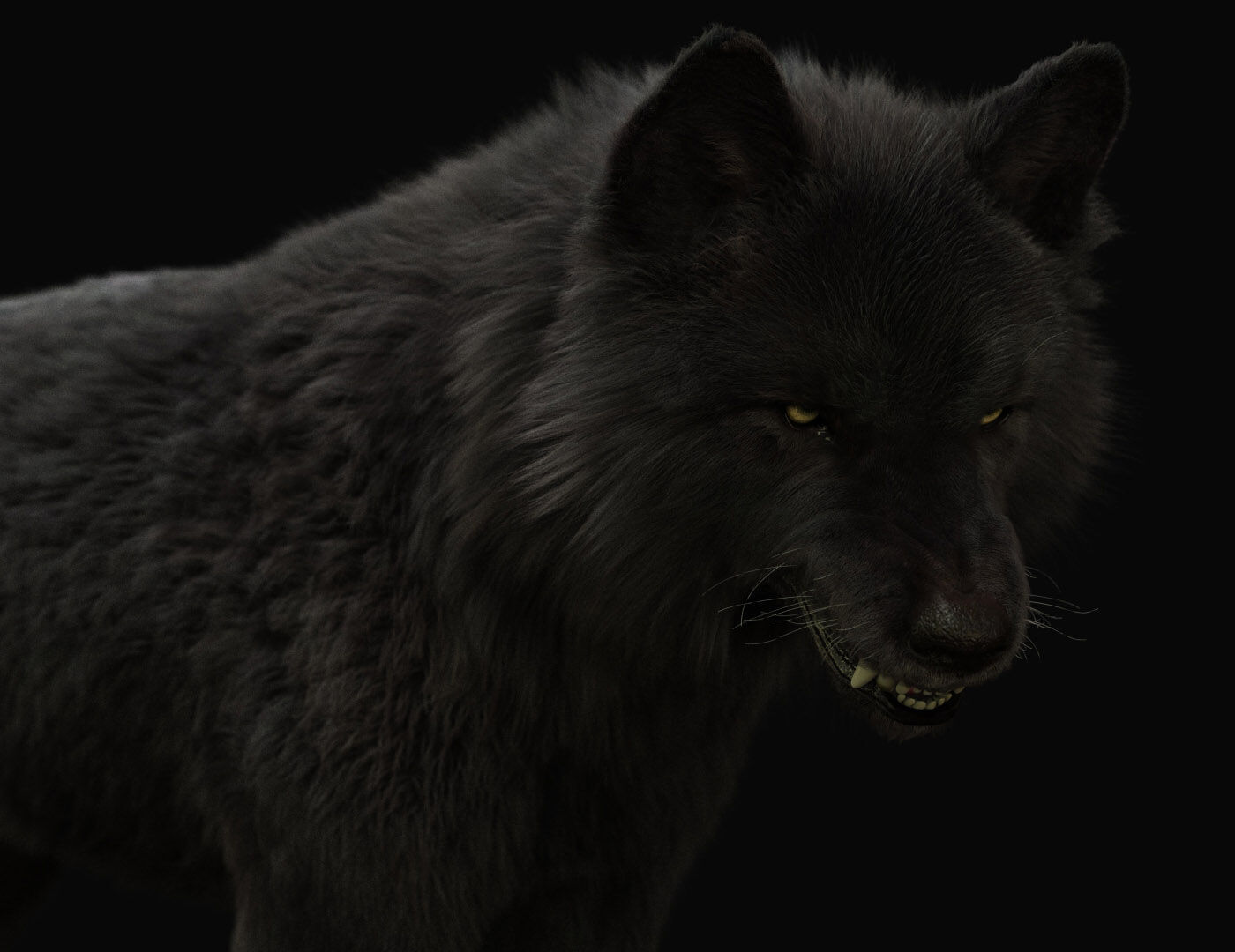 Black Wolf RIGGED XGEN igs 3D model_8