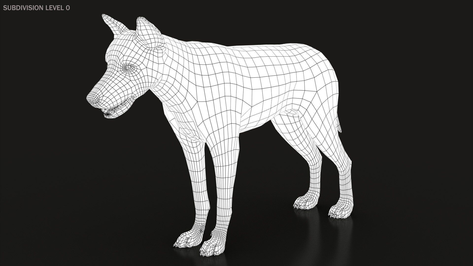 Black Wolf RIGGED XGEN igs 3D model_19
