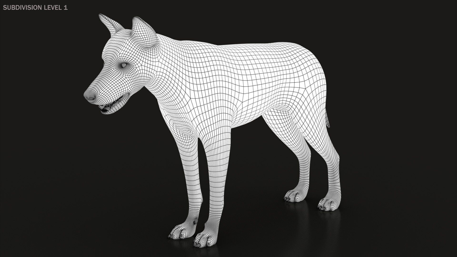 Arctic Wolf RIGGED XGEN igs 3D model_19