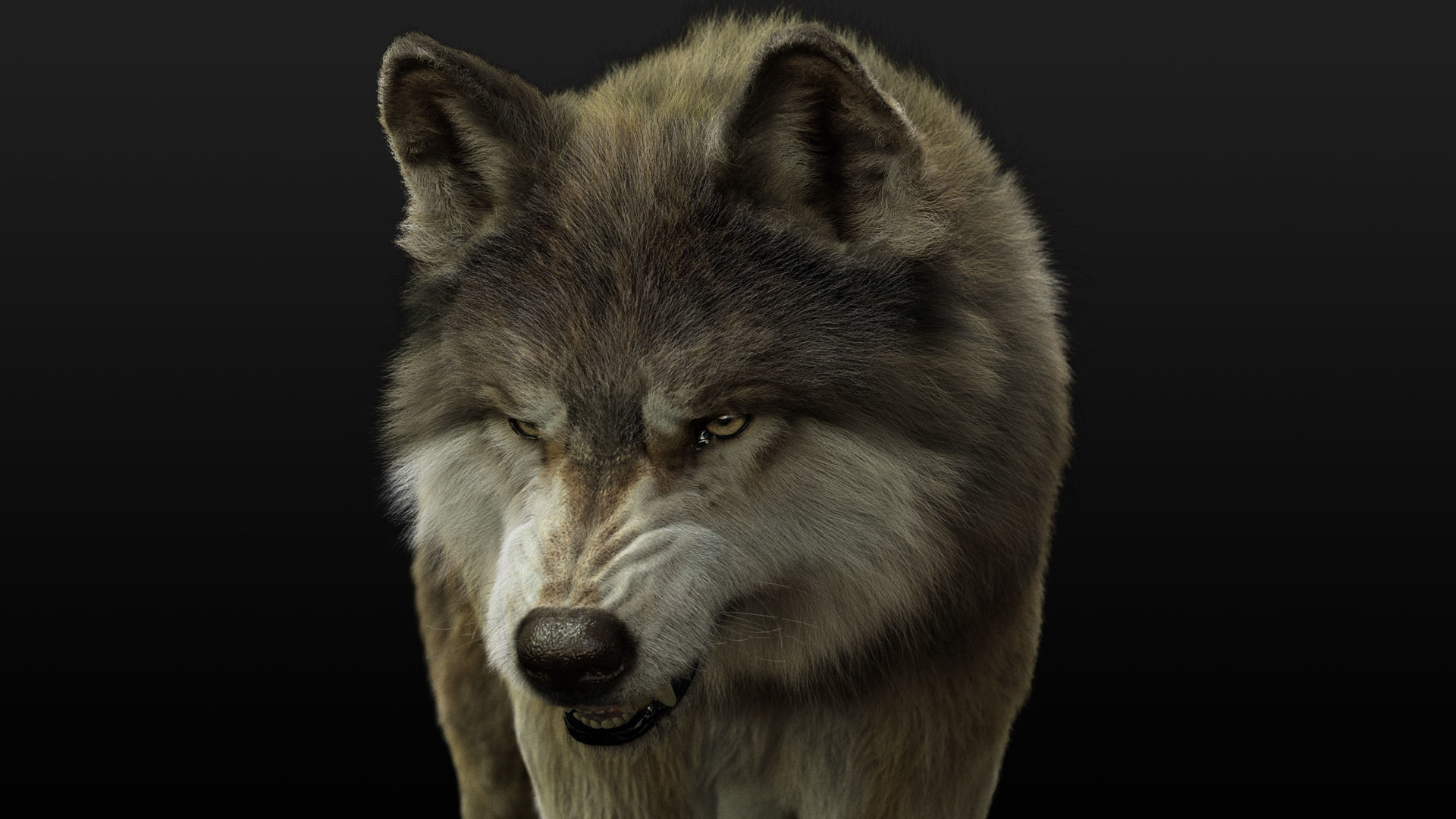 Wolf 2 RIGGED XGEN igs 3D model_3
