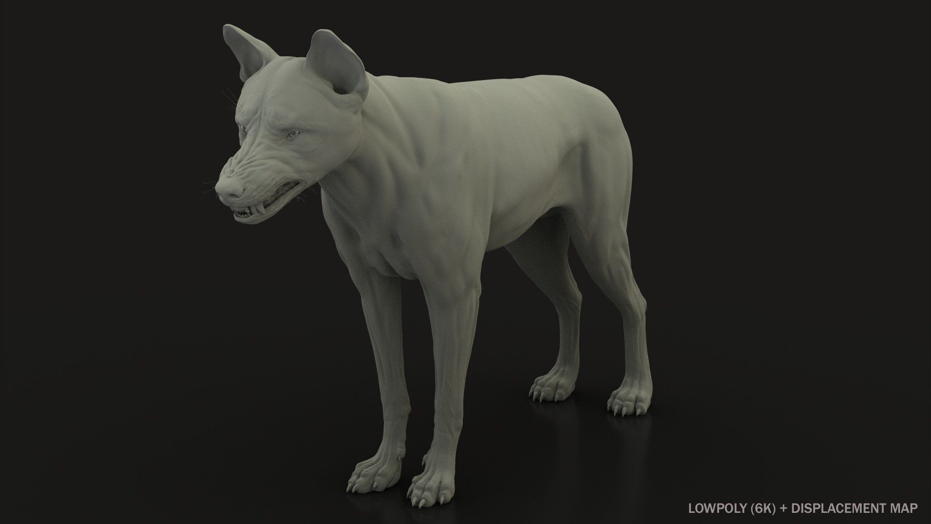 Wolf 2 RIGGED XGEN igs 3D model_11