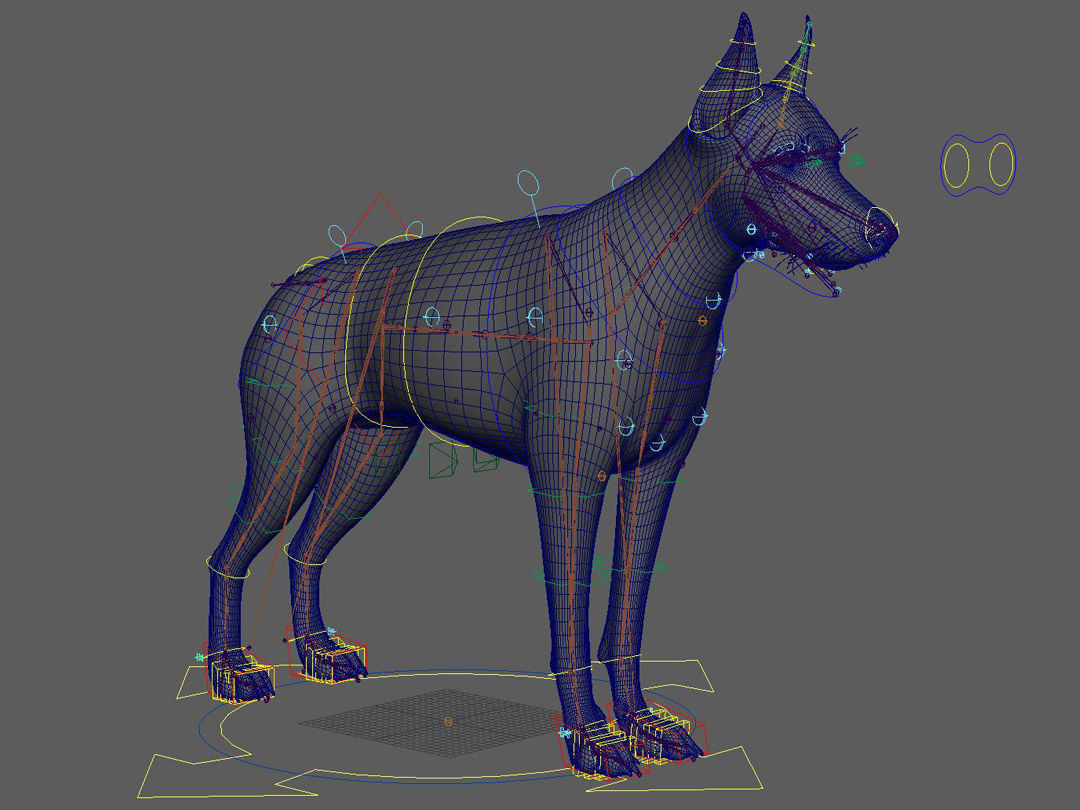 Dobermann XGEN RIGGED 3D model_20