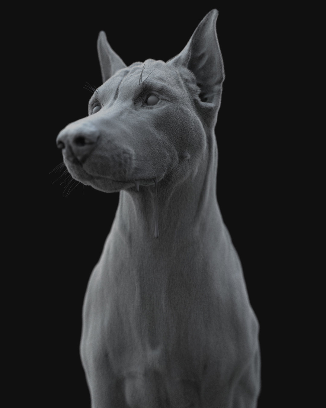 Dobermann XGEN RIGGED 3D model_15