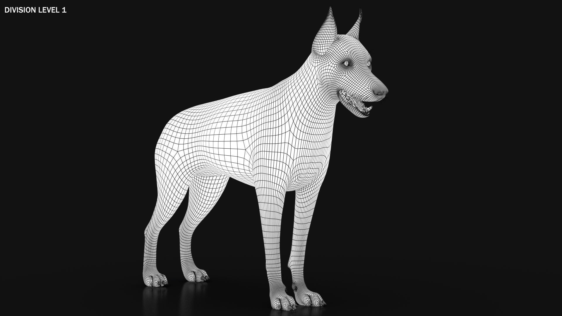Dobermann XGEN RIGGED 3D model_19