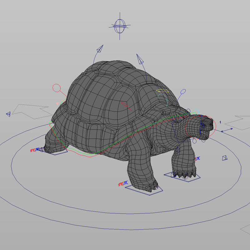 Tortoise ANIMATED 3D model_11