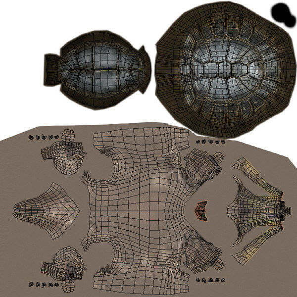 Tortoise ANIMATED 3D model_13