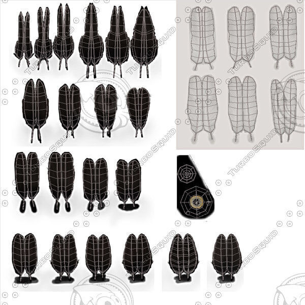 American Bald Eagle ANIMATED 3D model_14