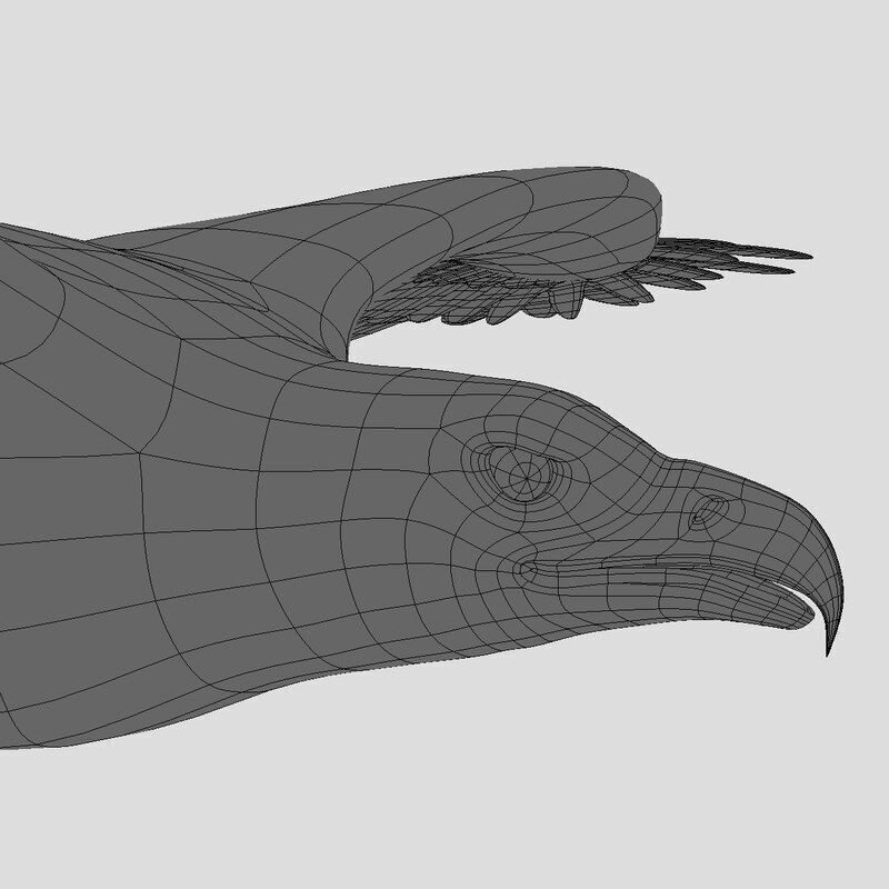 American Bald Eagle ANIMATED 3D model_11