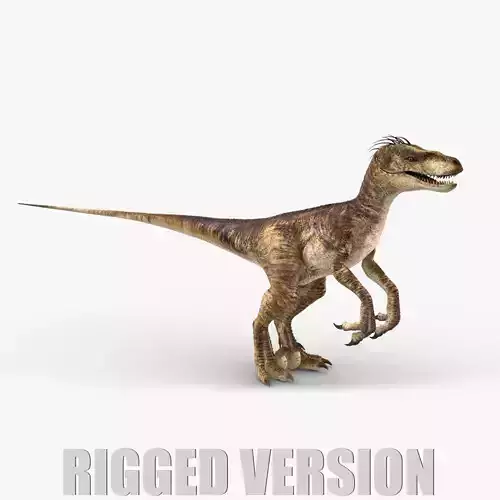 Velociraptor 2 RIGGED
