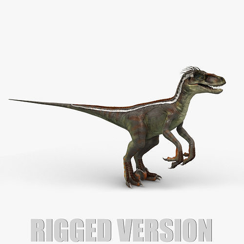 Velociraptor RIGGED 3D model