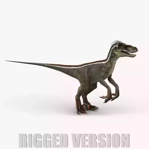 Velociraptor RIGGED