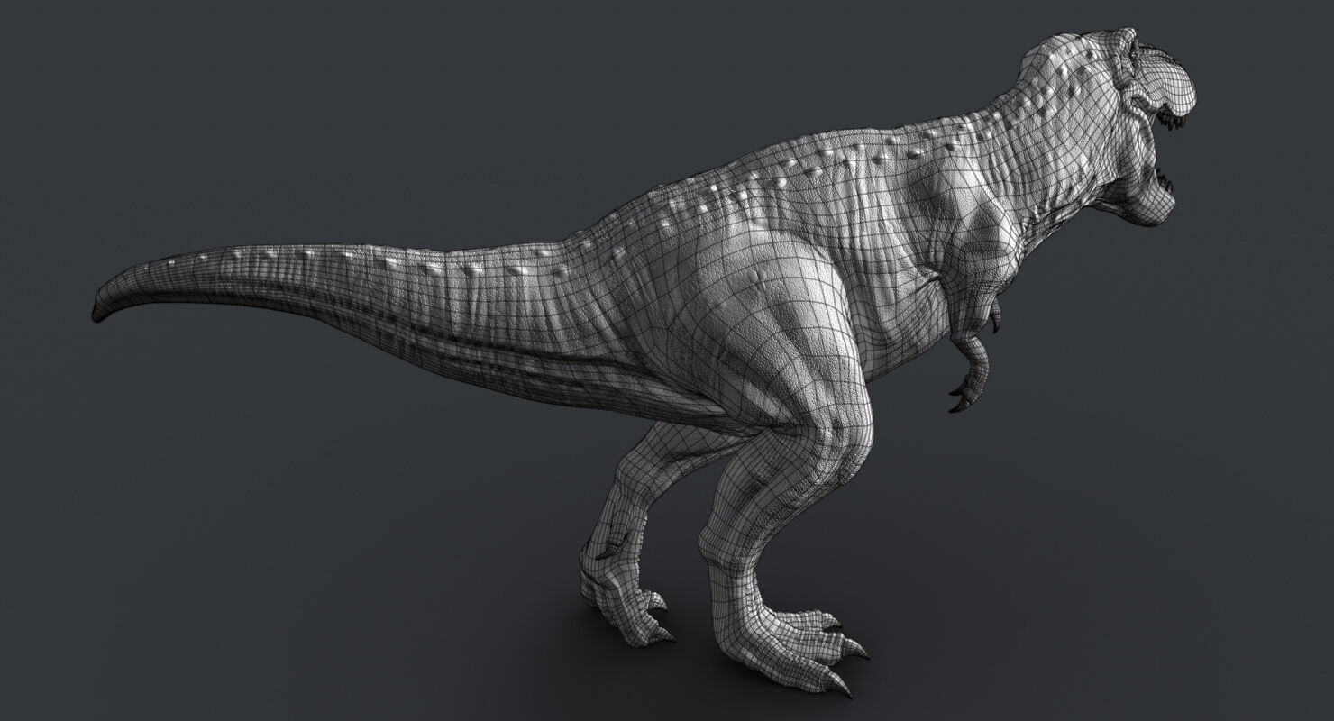Tyrannosaurus Rex 2 RIGGED 3D model_11