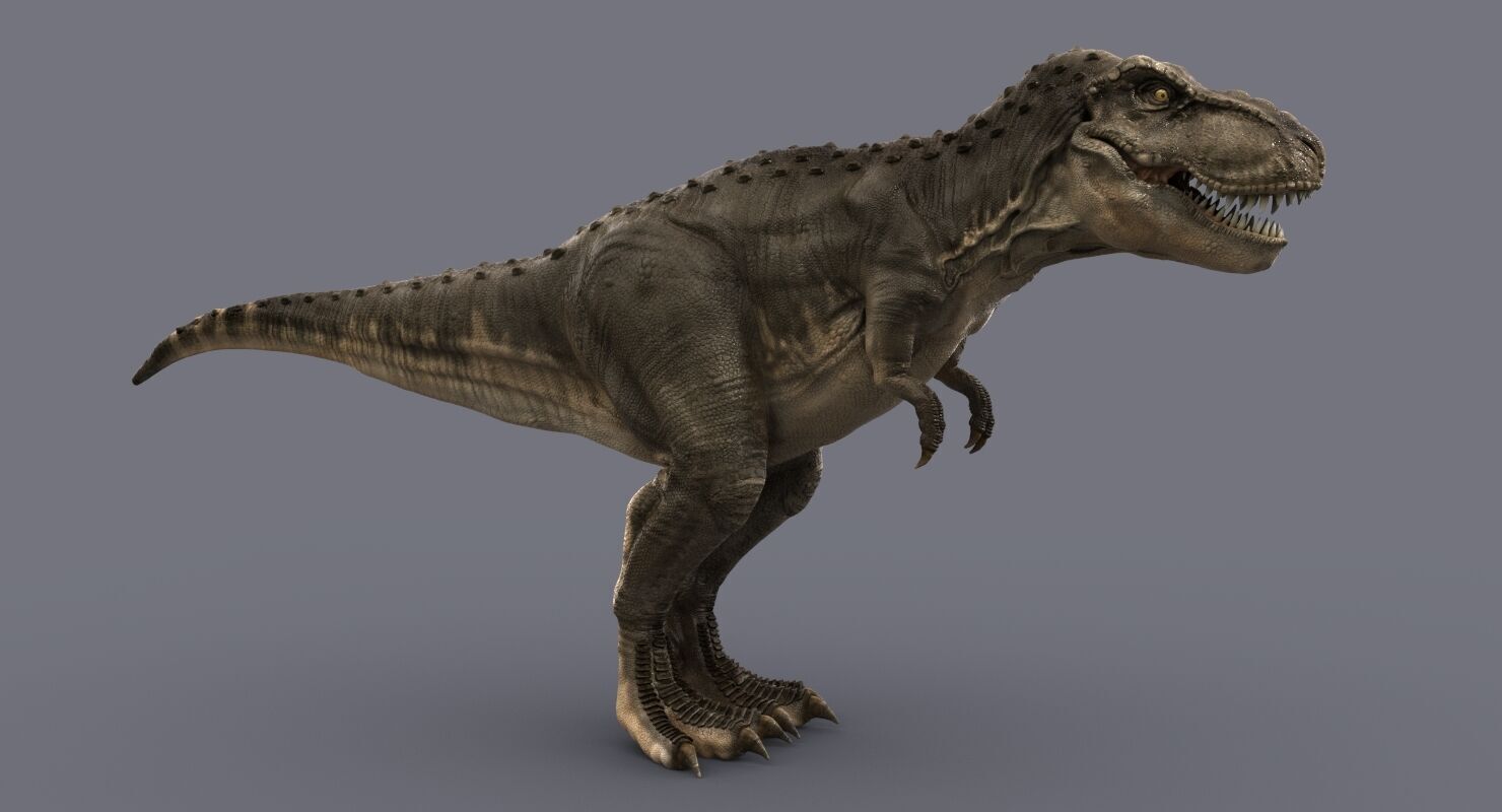 Tyrannosaurus Rex 2 RIGGED 3D model_1