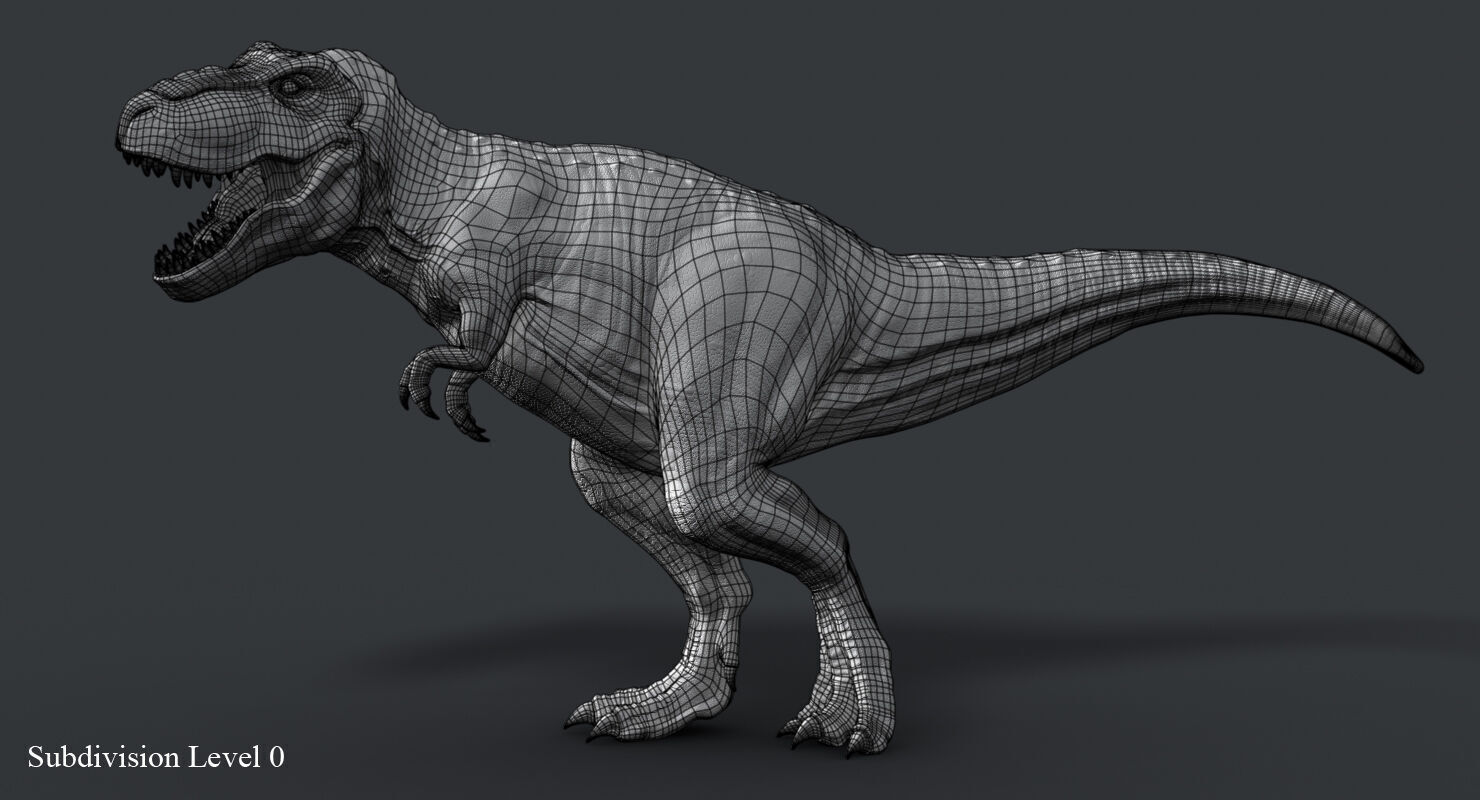 Tyrannosaurus Rex 2 RIGGED 3D model_12