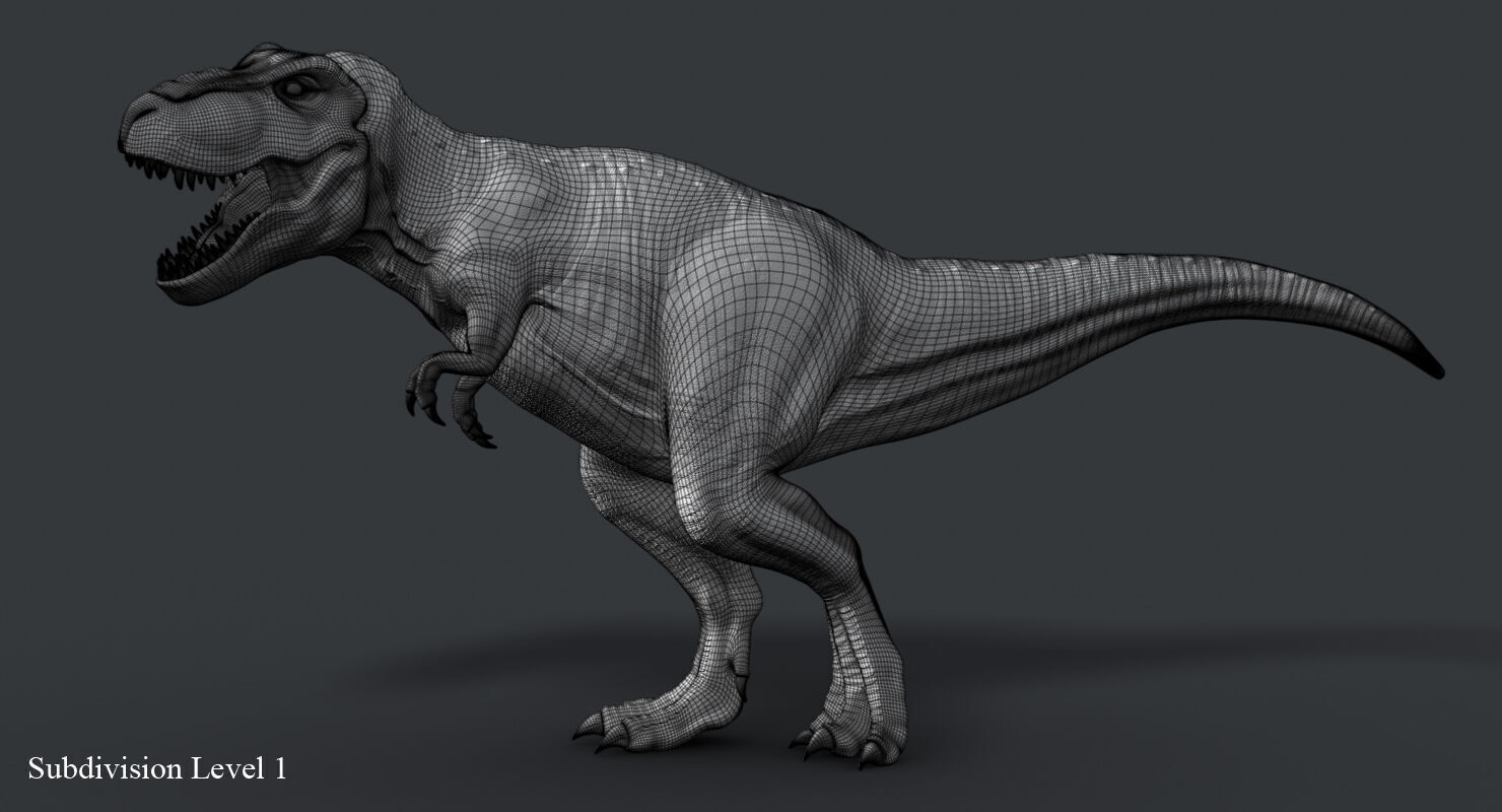 Tyrannosaurus Rex 2 RIGGED 3D model_8