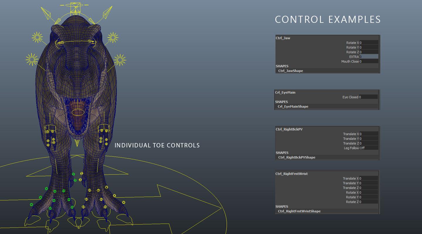 Tyrannosaurus Rex 2 RIGGED 3D model_13