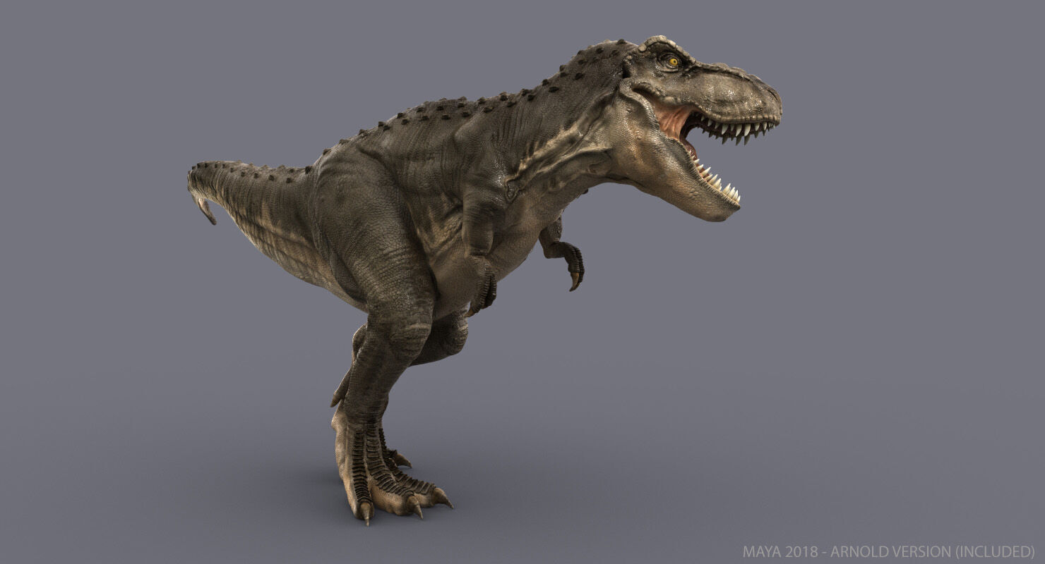 Tyrannosaurus Rex 2 RIGGED 3D model_3