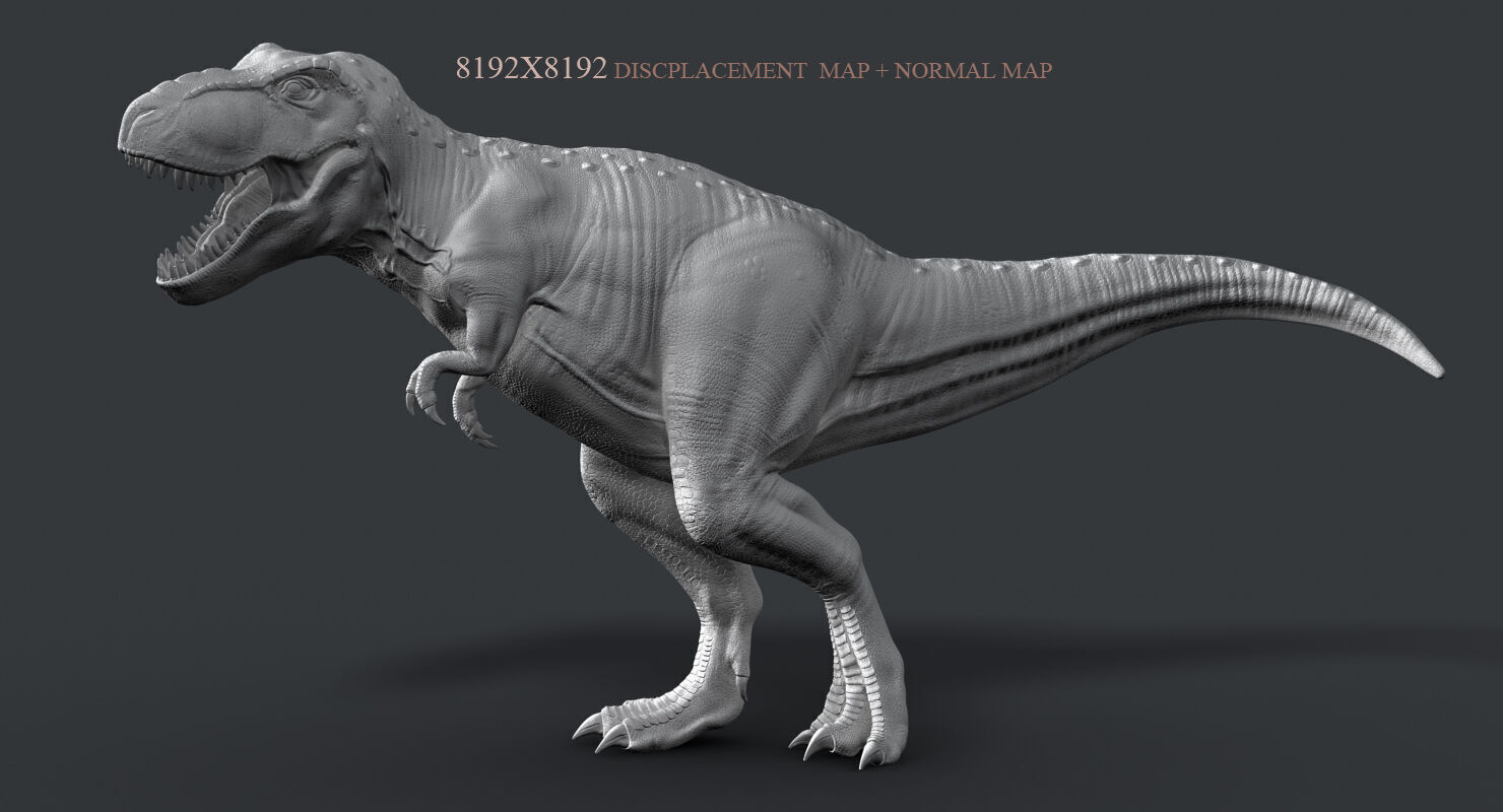 Tyrannosaurus Rex 2 RIGGED 3D model_7