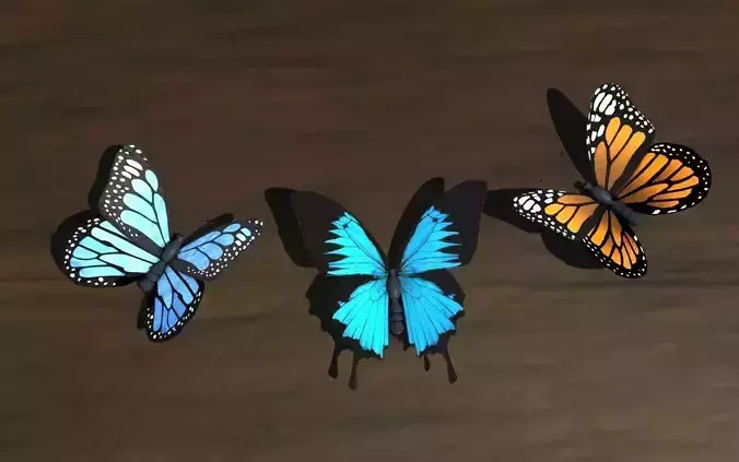 Low Poly Butterfly
