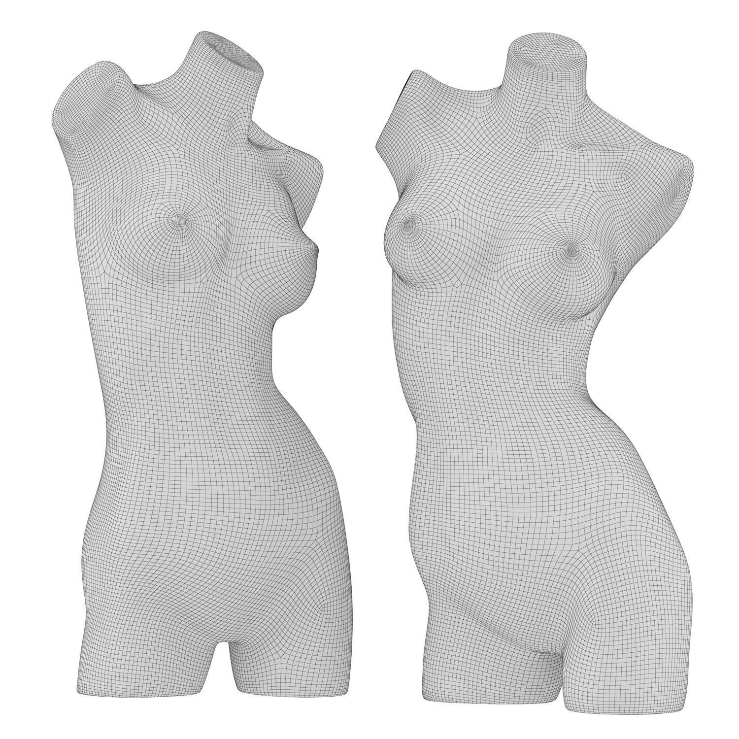 Female Mannequin Torso 3D model_5