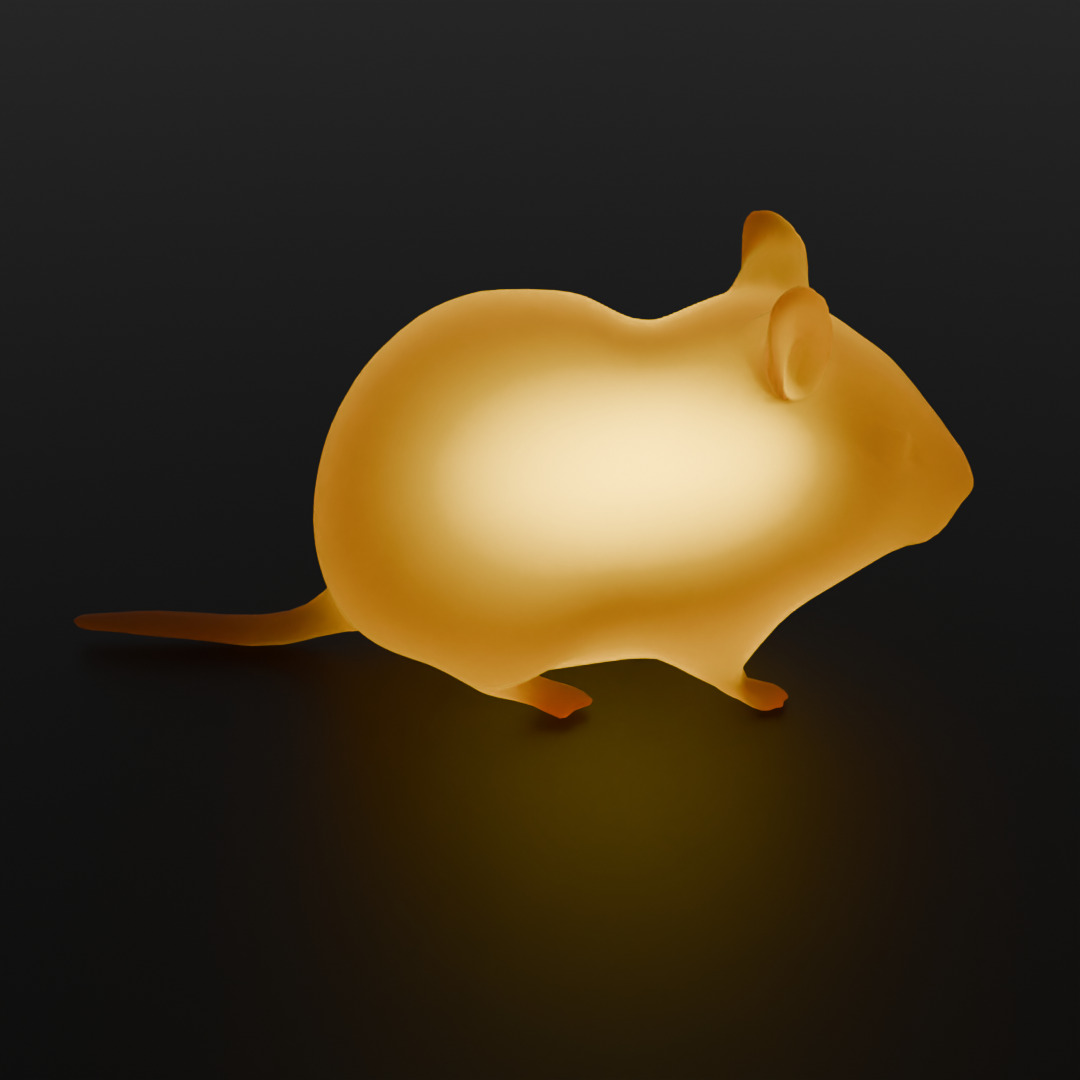 Indirect hamster lighting 3D model_1