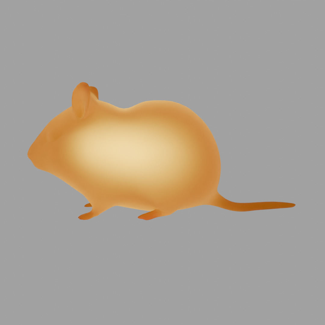 Indirect hamster lighting 3D model_4