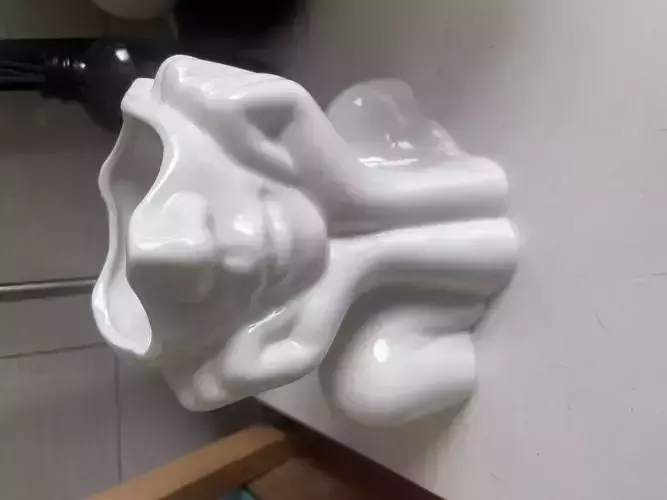 Female Torso Vase Hollowed Head for Floral Arrangements 3D print model