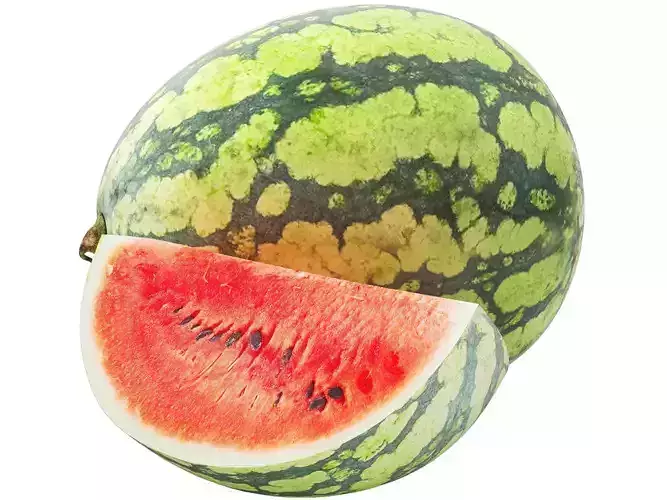 watermelon fruit