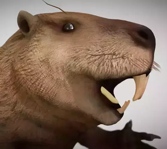 Castoroides The Giant Beaver of the Ice Age