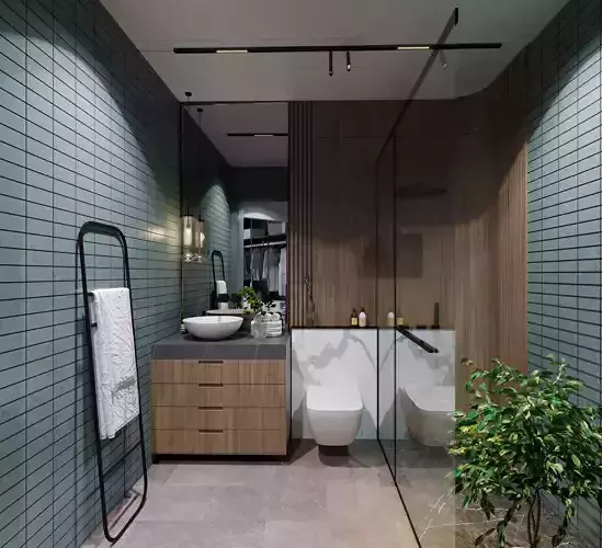 Modern Minimalist Bathroom Interior Scene