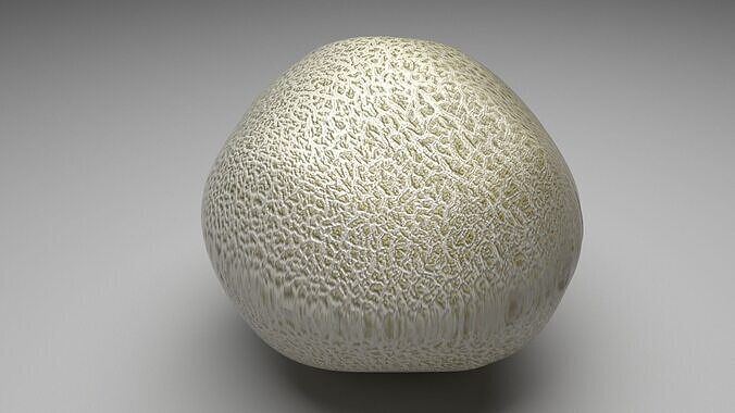 Persian Melon 3D model