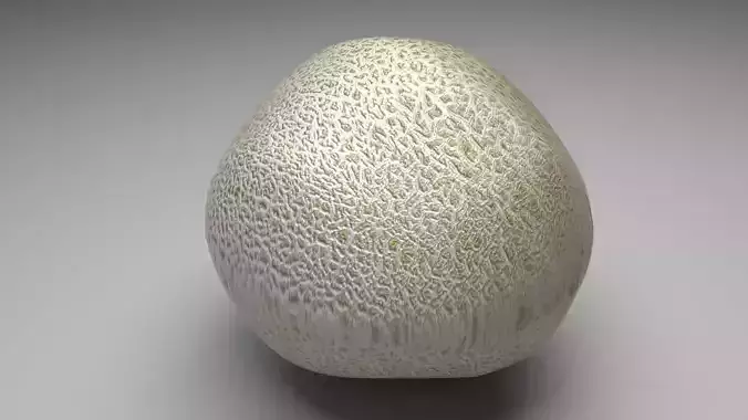 Persian Melon 3D model