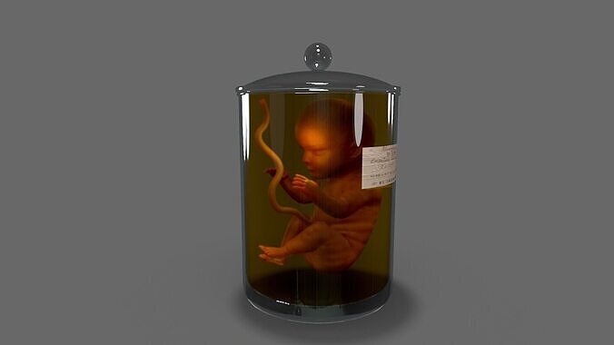 Cadaver Specimen Low-poly 3D model