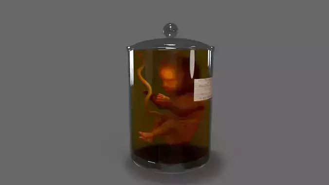 Cadaver Specimen Low-poly 3D model