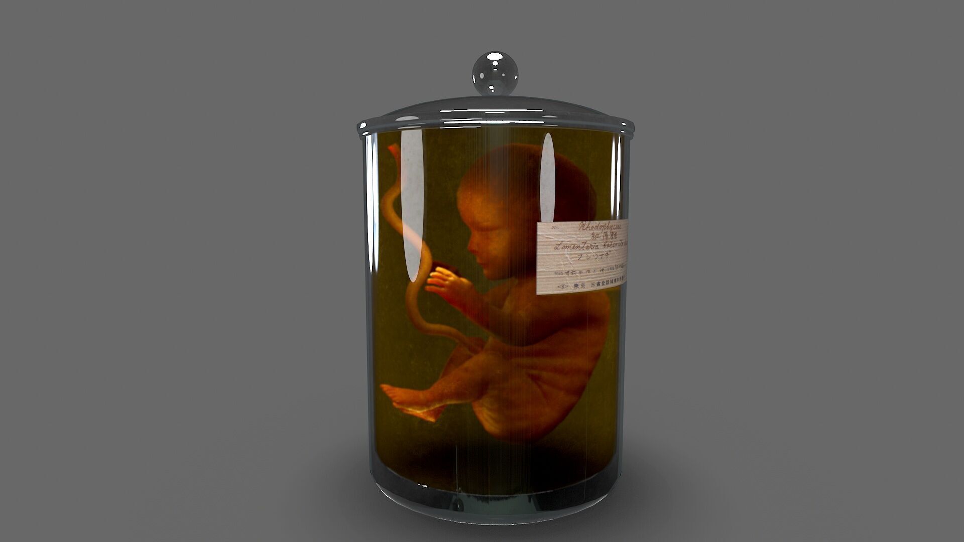 Cadaver Specimen Low-poly 3D model_1