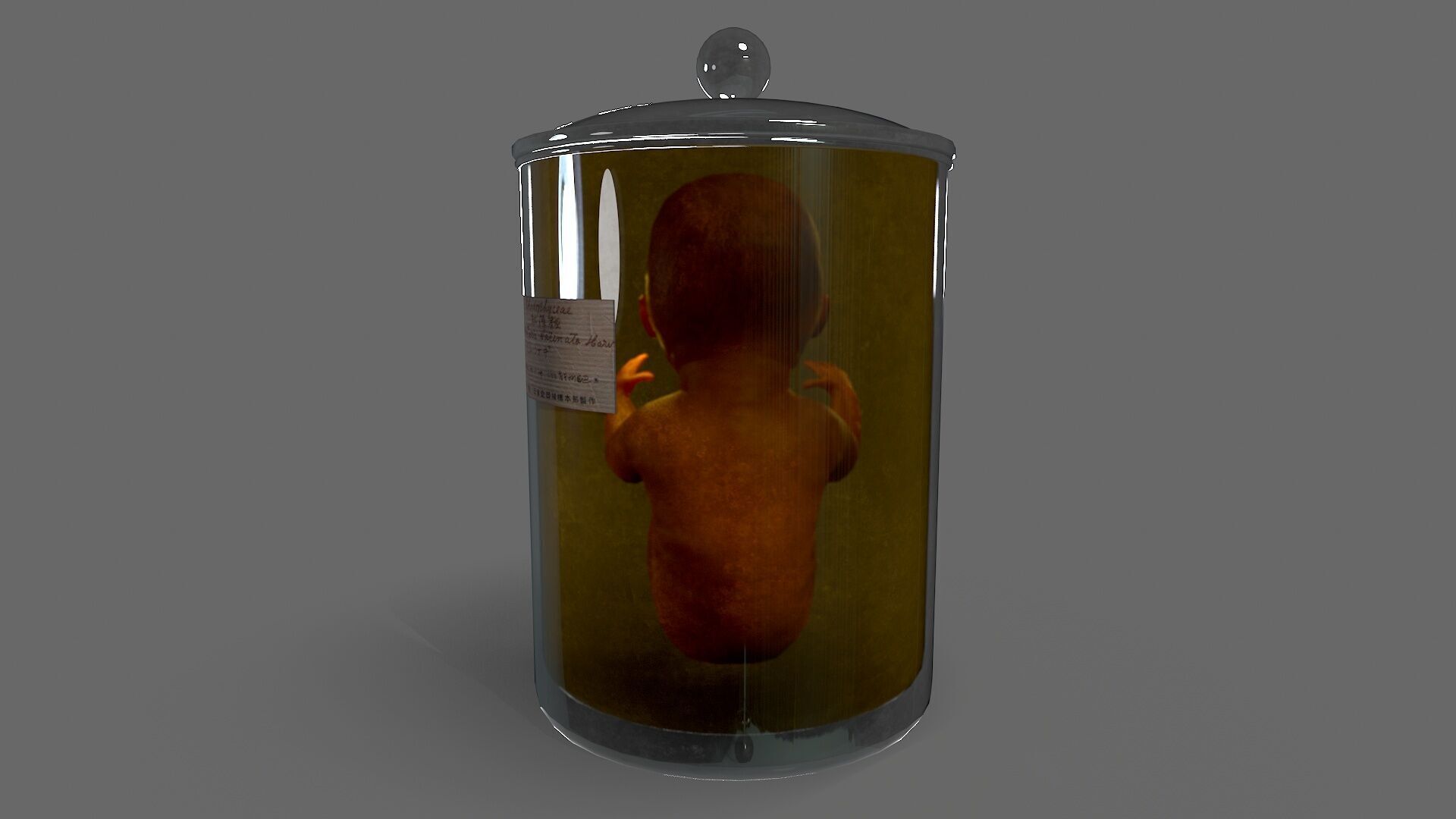 Cadaver Specimen Low-poly 3D model_3