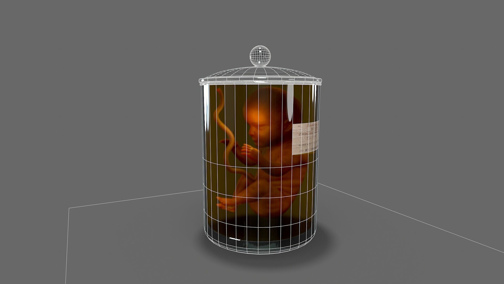 Cadaver Specimen Low-poly 3D model_8